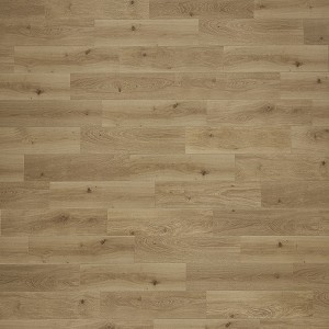 Haven Plank